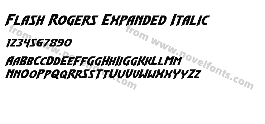 Flash Rogers Expanded ItalicPreview