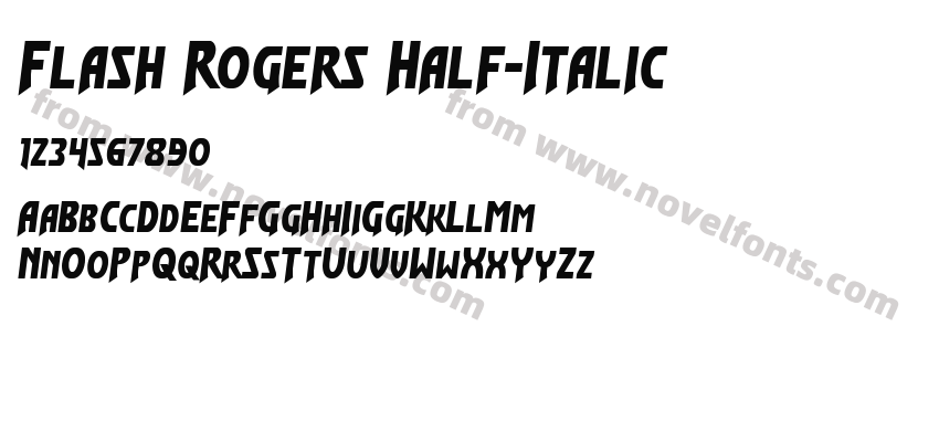 Flash Rogers Half-ItalicPreview