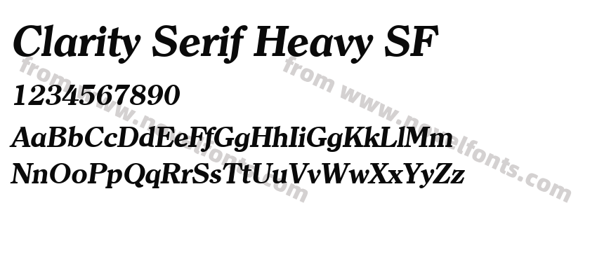 Clarity Serif Heavy SFPreview