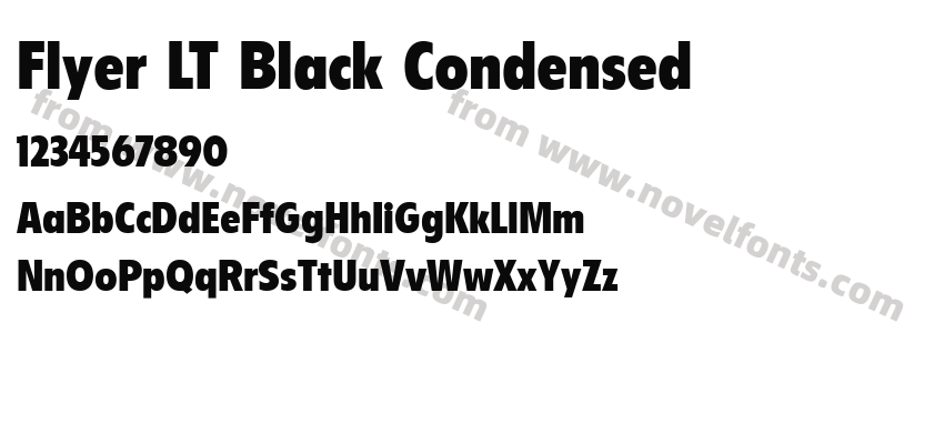 Flyer LT Black CondensedPreview