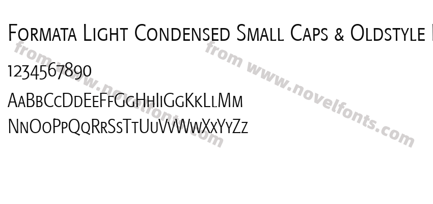 Formata Light Condensed Small Caps & Oldstyle FiguresPreview