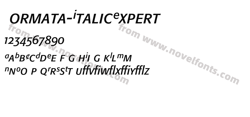 Formata-ItalicExpertPreview