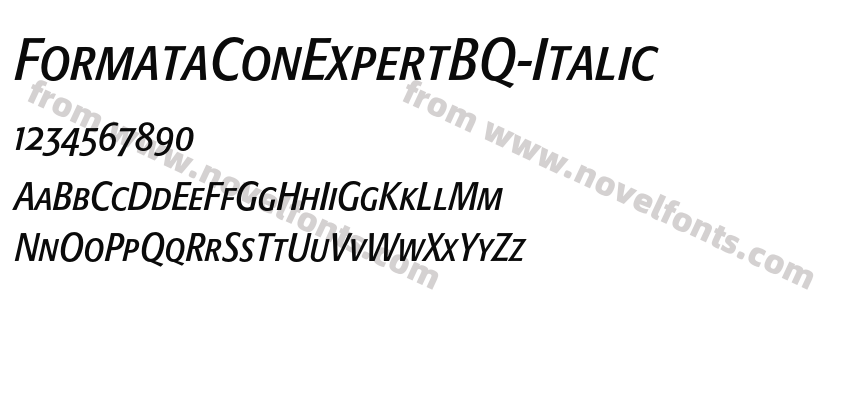 FormataConExpertBQ-ItalicPreview