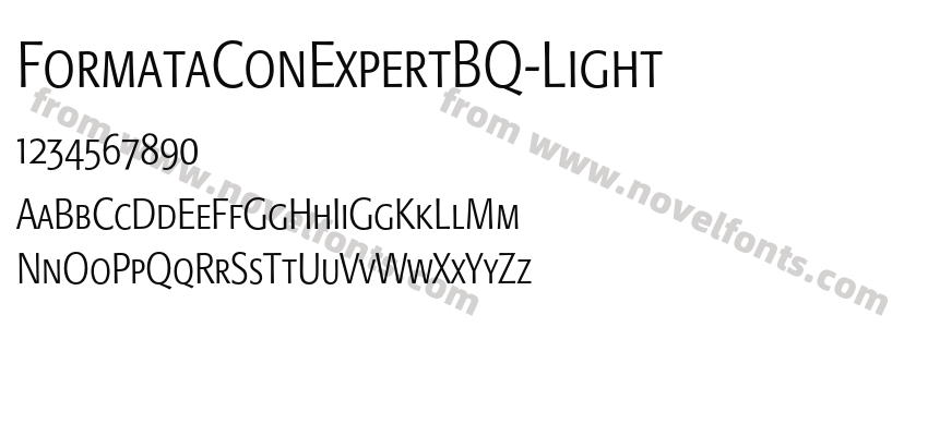 FormataConExpertBQ-LightPreview