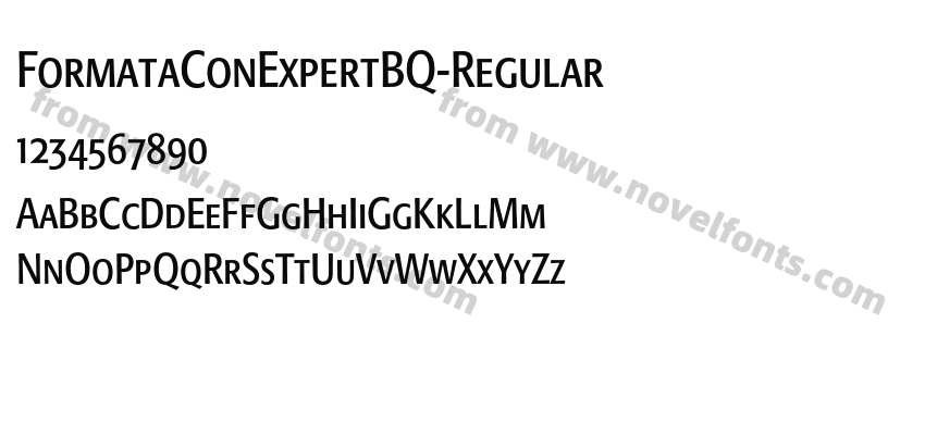 FormataConExpertBQ-RegularPreview