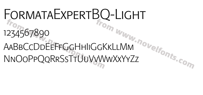 FormataExpertBQ-LightPreview