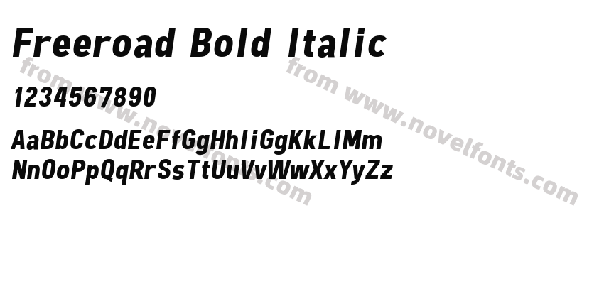 Freeroad Bold ItalicPreview