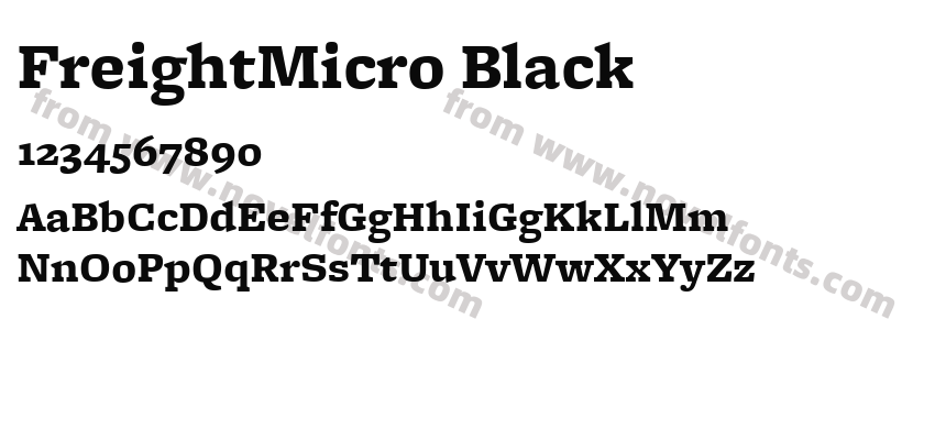 FreightMicro BlackPreview