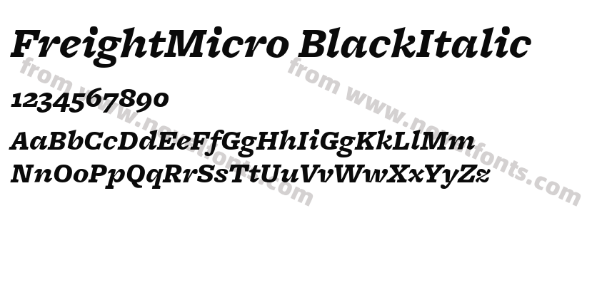 FreightMicro BlackItalicPreview