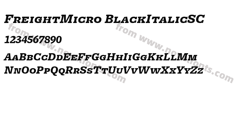 FreightMicro BlackItalicSCPreview