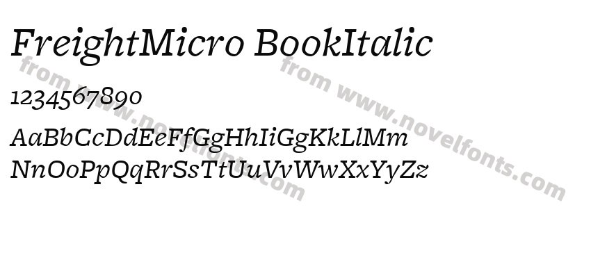 FreightMicro BookItalicPreview