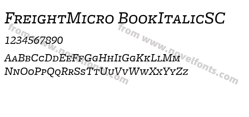 FreightMicro BookItalicSCPreview