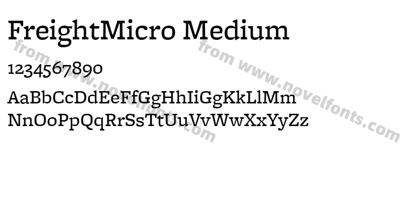 FreightMicro MediumPreview