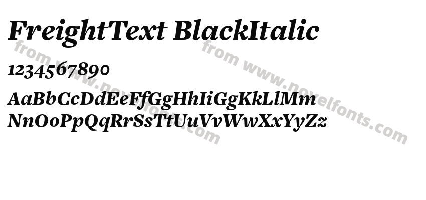 FreightText BlackItalicPreview