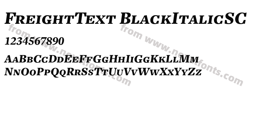 FreightText BlackItalicSCPreview