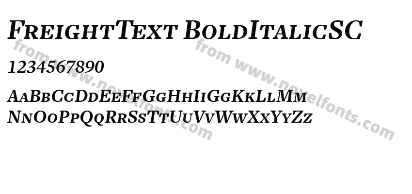 FreightText BoldItalicSCPreview