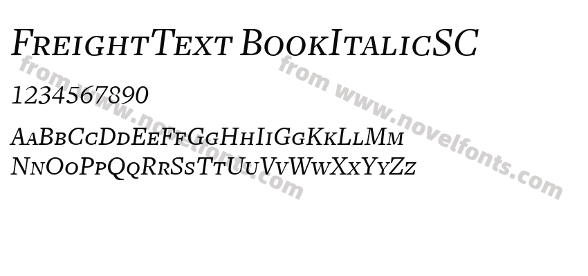 FreightText BookItalicSCPreview