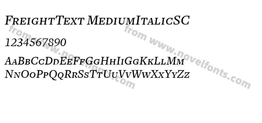 FreightText MediumItalicSCPreview