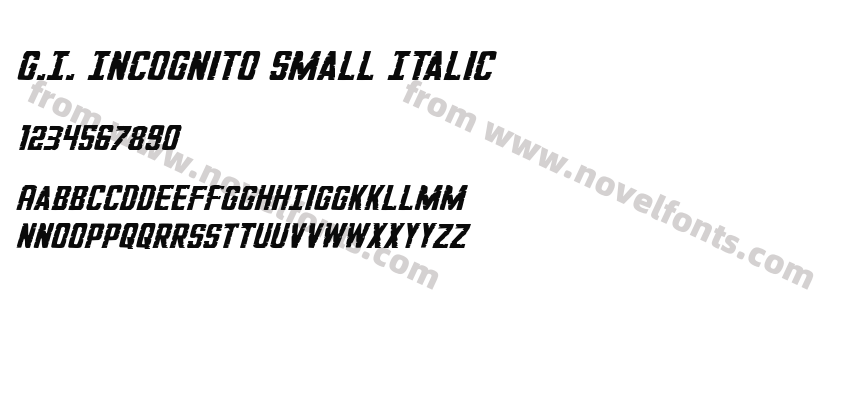 G.I. Incognito Small ItalicPreview