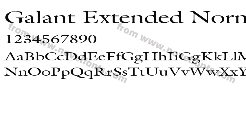 Galant Extended NormalPreview
