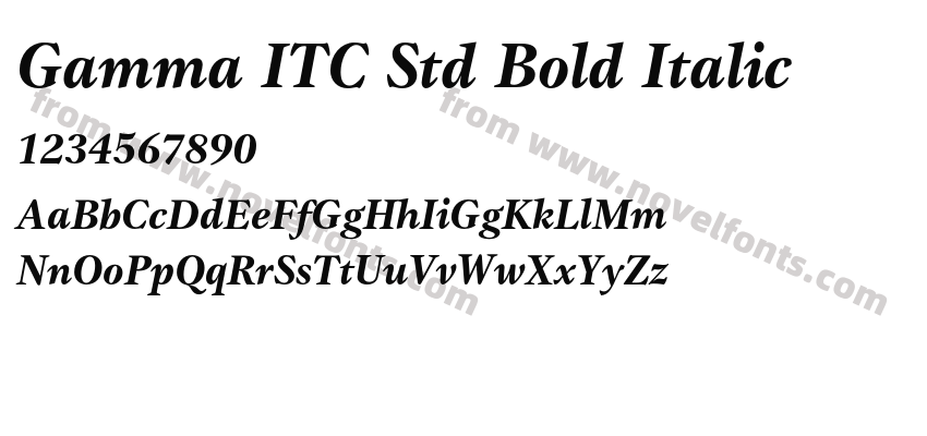 Gamma ITC Std Bold ItalicPreview