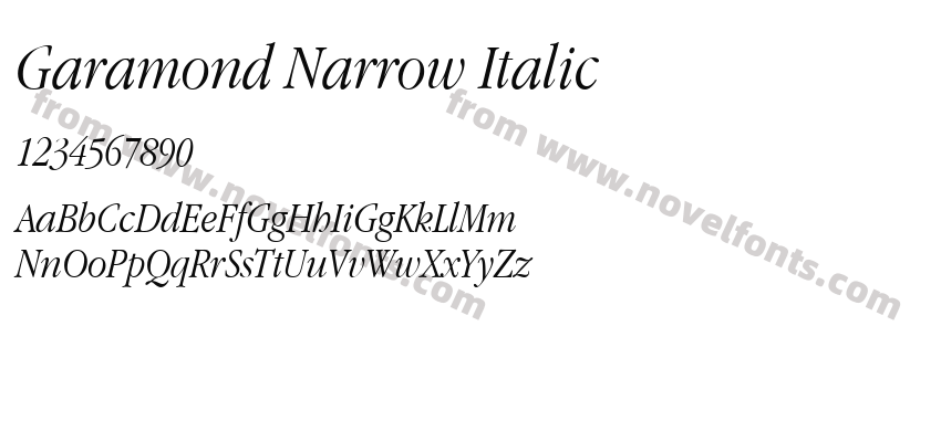 Garamond Narrow ItalicPreview