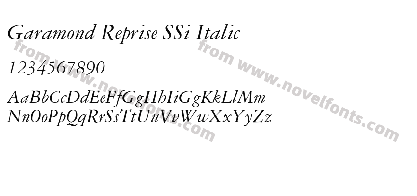 Garamond Reprise SSi ItalicPreview