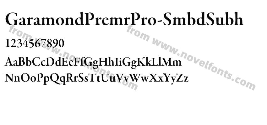 GaramondPremrPro-SmbdSubhPreview