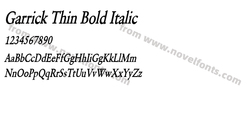 Garrick Thin Bold ItalicPreview