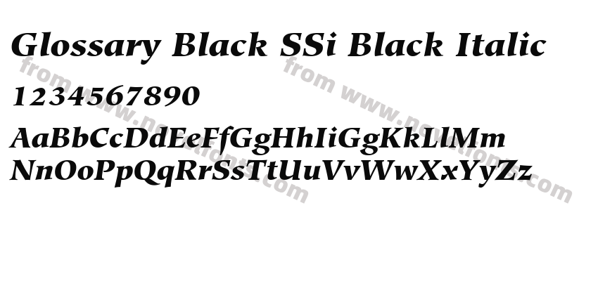 Glossary Black SSi Black ItalicPreview