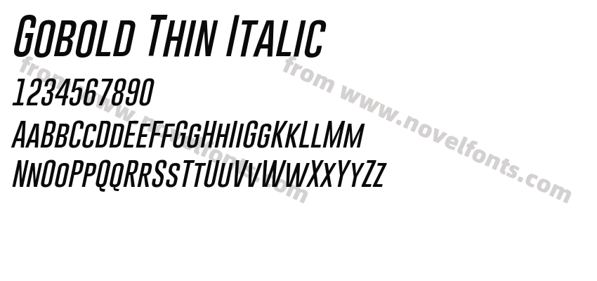 Gobold Thin ItalicPreview