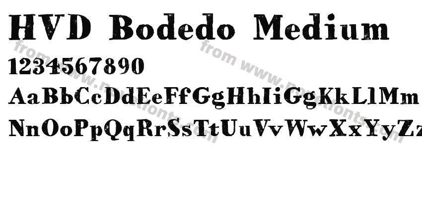 HVD Bodedo MediumPreview