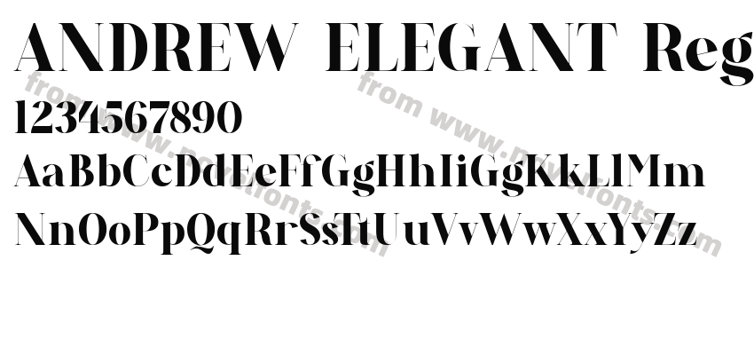 ANDREW ELEGANT RegularPreview