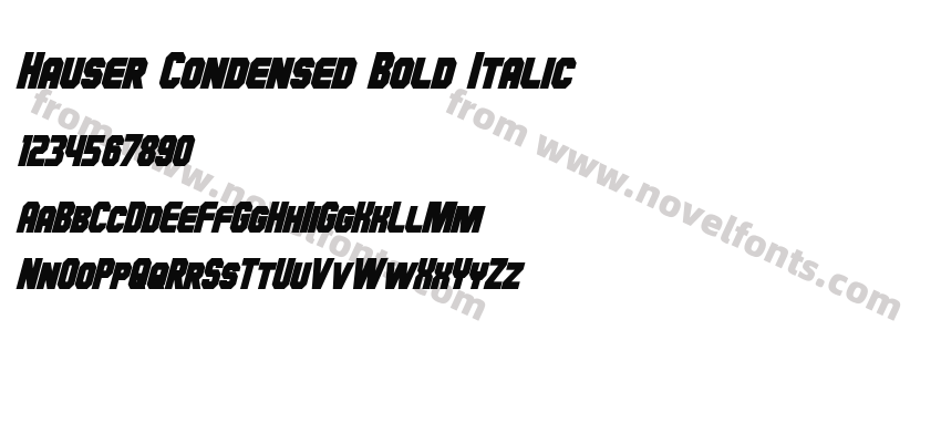 Hauser Condensed Bold ItalicPreview