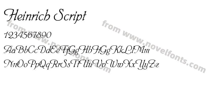 Heinrich ScriptPreview