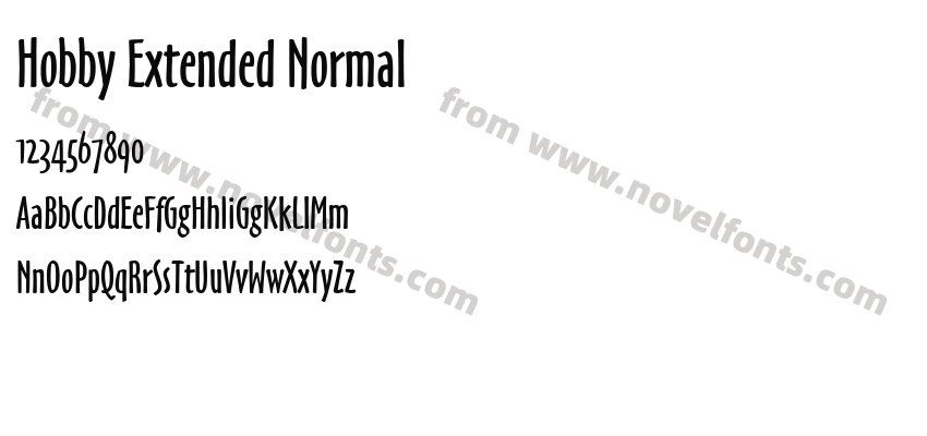 Hobby Extended NormalPreview