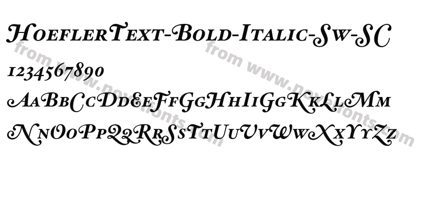 HoeflerText-Bold-Italic-Sw-SCPreview