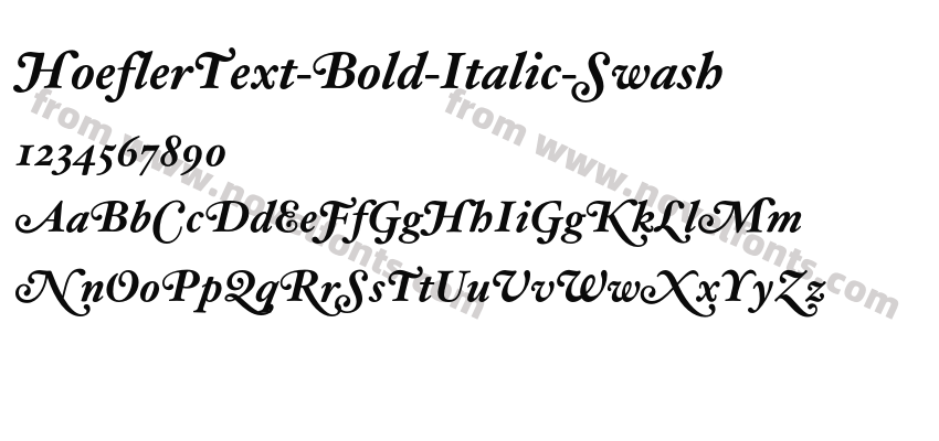 HoeflerText-Bold-Italic-SwashPreview