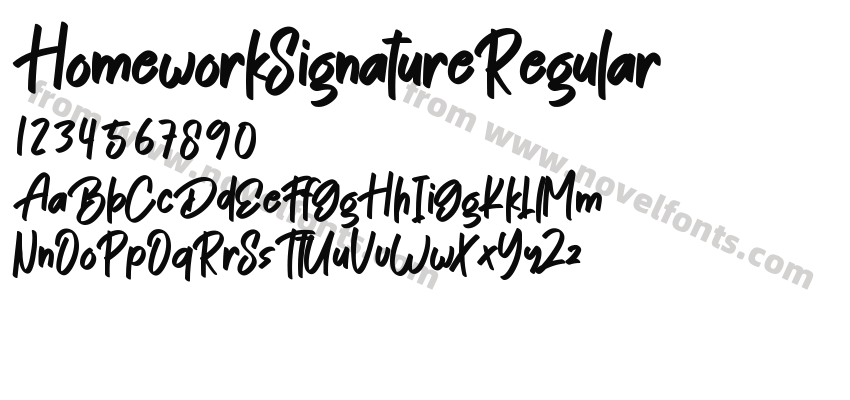 HomeworkSignatureRegularPreview