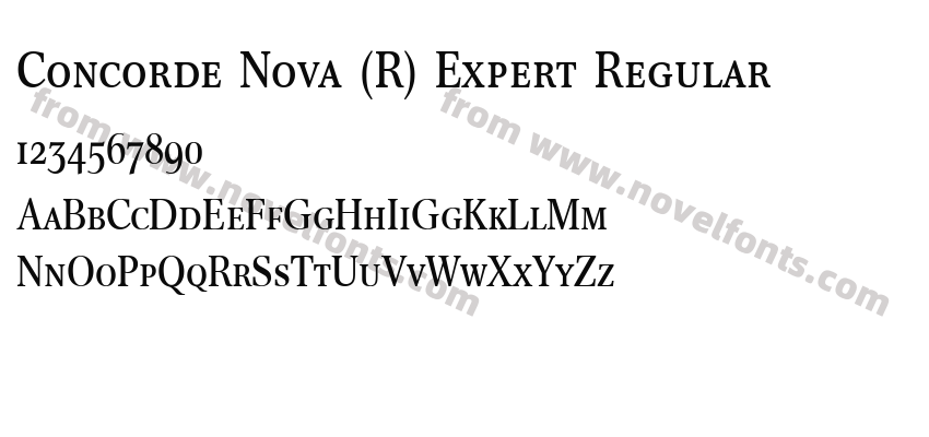 Concorde Nova (R) Expert RegularPreview