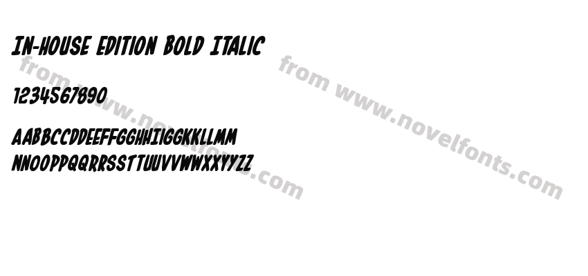 In-House Edition Bold ItalicPreview