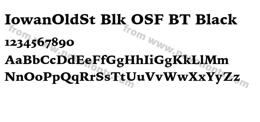 IowanOldSt Blk OSF BT BlackPreview