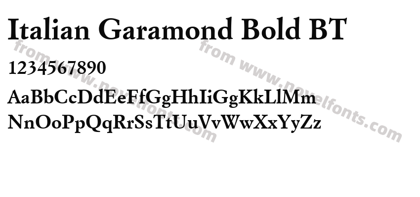 Italian Garamond Bold BTPreview