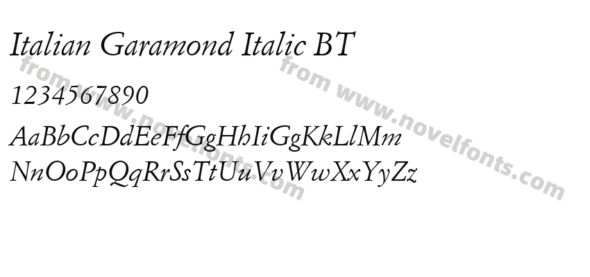 Italian Garamond Italic BTPreview