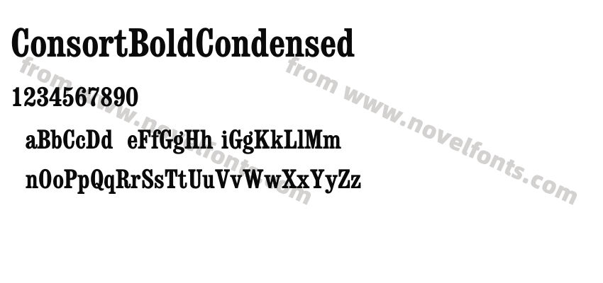 ConsortBoldCondensedPreview