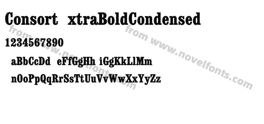 ConsortExtraBoldCondensedPreview