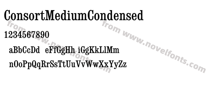 ConsortMediumCondensedPreview