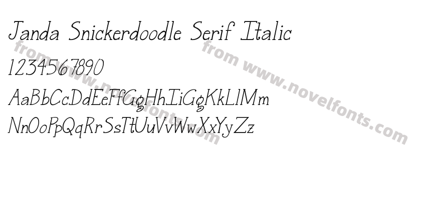 Janda Snickerdoodle Serif ItalicPreview