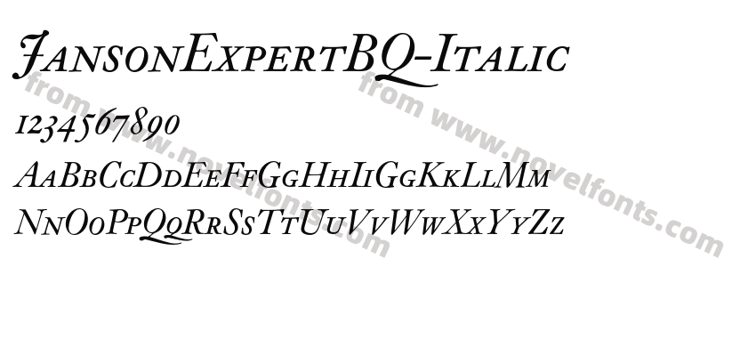 JansonExpertBQ-ItalicPreview