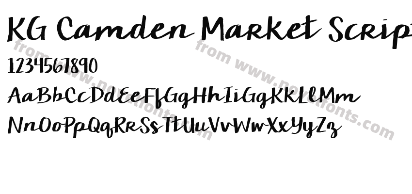 KG Camden Market ScriptPreview